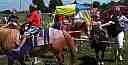 dscn9557.jpg