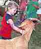 dscn9562.jpg