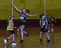 DSCN0242