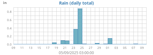 Rain