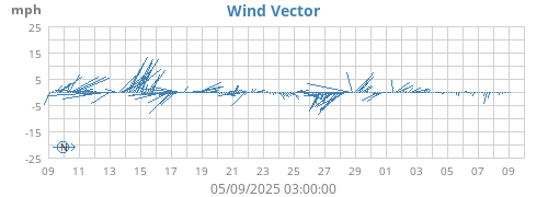 Wind Vector