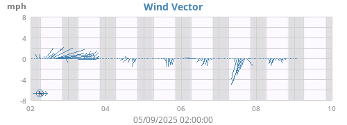 Wind Vector